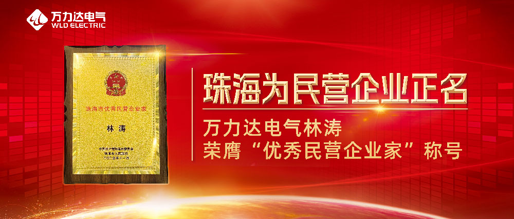 普洱为民营企业正名 vsport因你而精彩电气林涛荣膺“优良民营企业家”称号