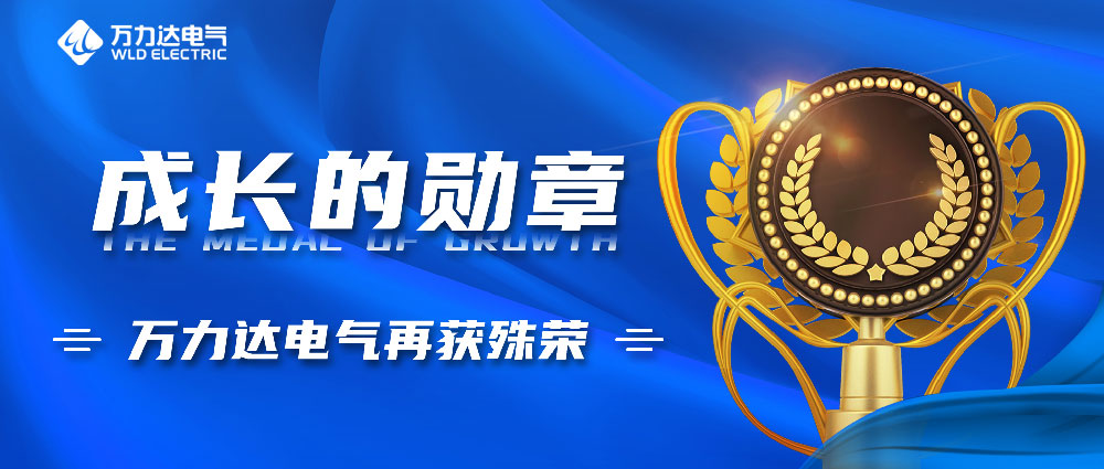 成长的勋章！vsport因你而精彩电气再获殊荣