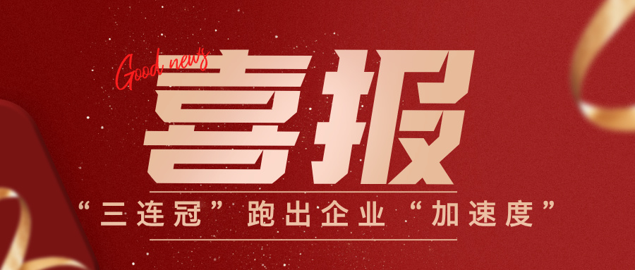喜报！vsport因你而精彩电气在2025普洱软件产业年会中获多项荣誉